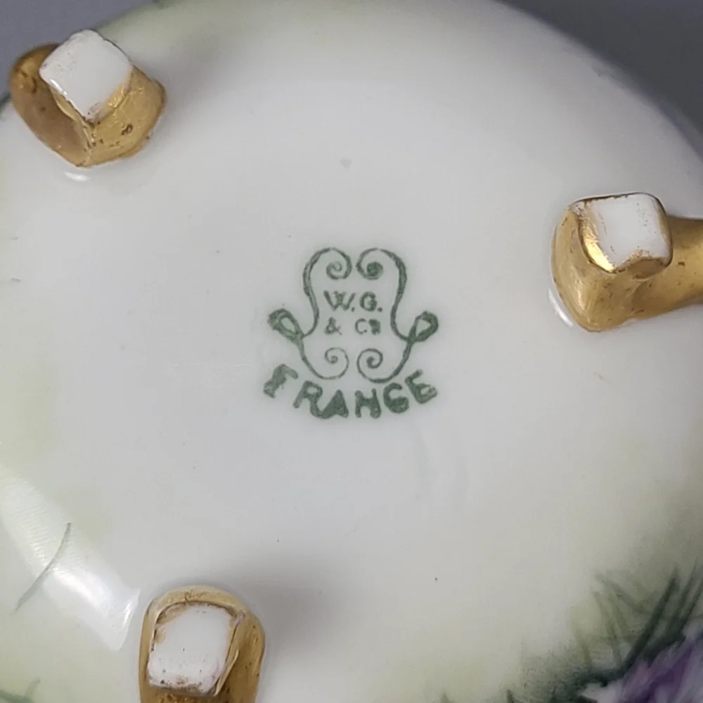 W.G. Co. France Hand Painted Porcelain Gold Footed Vintage Teacup